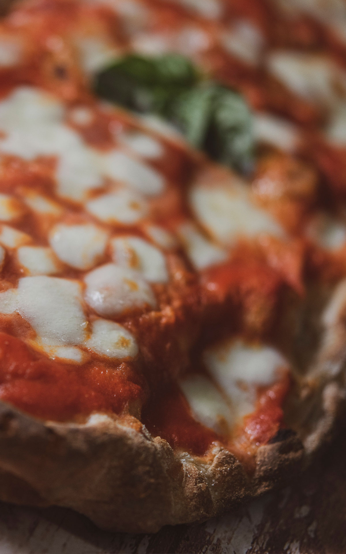 margherita